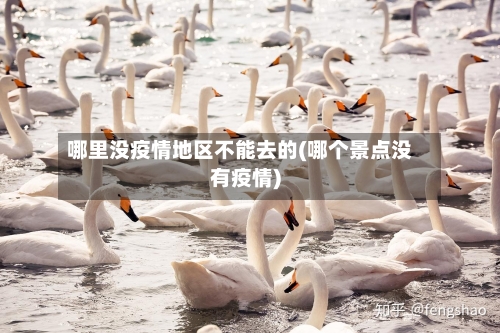 哪里没疫情地区不能去的(哪个景点没有疫情)