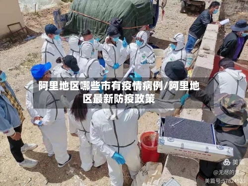 阿里地区哪些市有疫情病例/阿里地区最新防疫政策-第2张图片