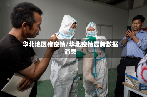 华北地区猪疫情/华北疫情最新数据消息
