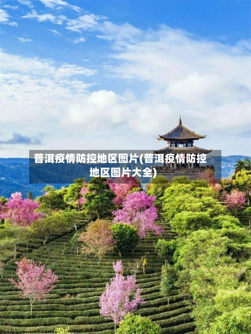 普洱疫情防控地区图片(普洱疫情防控地区图片大全)