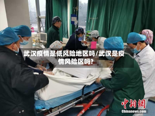 武汉疫情是低风险地区吗/武汉是疫情风险区吗?-第2张图片