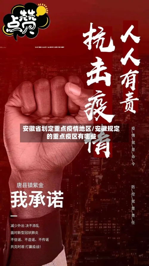 安徽省划定重点疫情地区/安徽规定的重点疫区有哪些-第3张图片